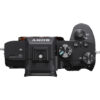 SONY CAMARA ALPHA 7 III BODY ONLY