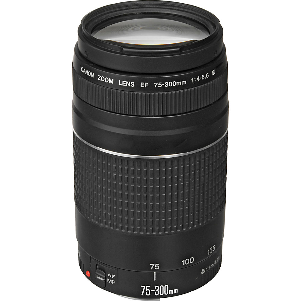 CANON LENS EF75-300MM F4-5.6 III – Camaras